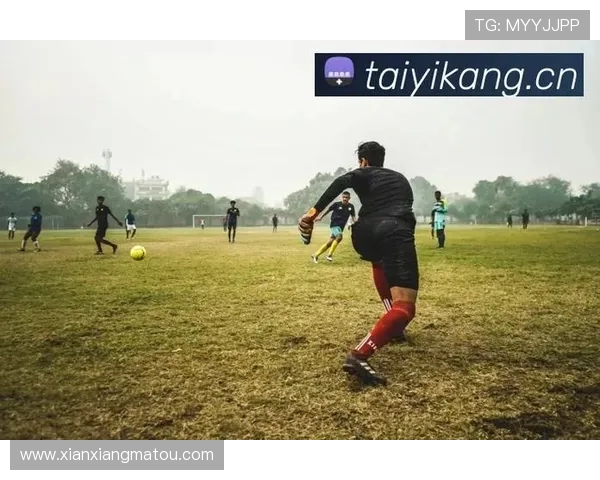 开云体育在线网址最新登录入口，提供最稳定的在线体育娱乐平台