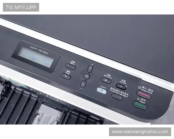 开云官网地址官方入口安全指南，保障用户顺利访问官方平台的实用建议