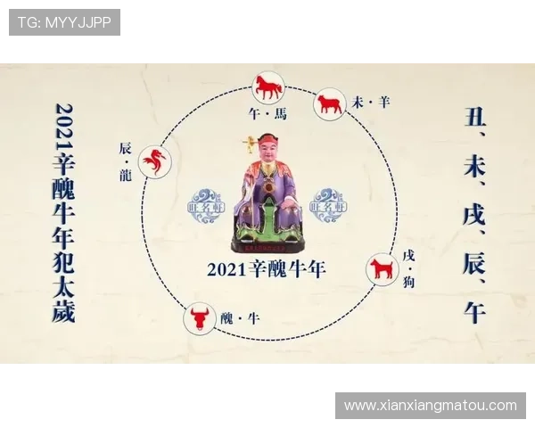 开运国际官网入口：官方入口导航指南让你轻松开启好运之旅