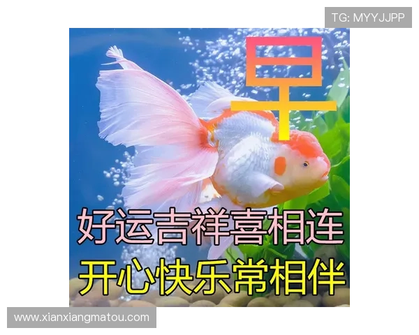 开运平台为你提供专业指导,让好运常伴左右实现梦想 开运平台为你提供专业指导,让好运常伴左右实现梦想