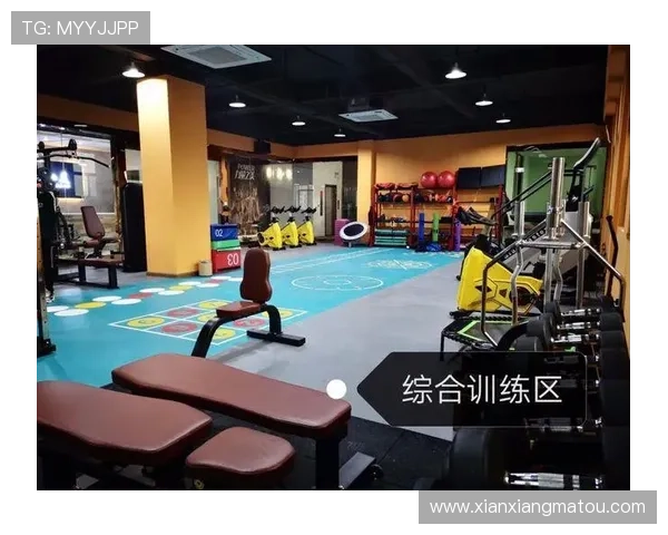 开云完美体育app手机用户评价与反馈，了解真实使用体验与改进建议